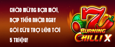 Reload Bonus Hàng Ngày 10% promotion